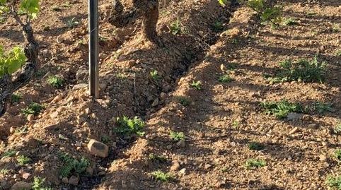 Foto 2 de Terreny en venda a Carretera Encinacorba, 14, Cariñena, Zaragoza