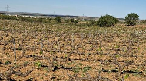 Foto 5 de Terreny en venda a Carretera Encinacorba, 14, Cariñena, Zaragoza