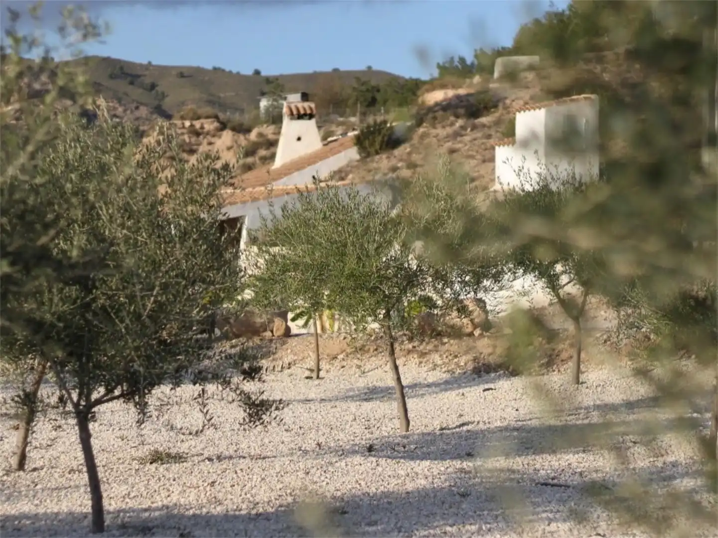 Country homes for sale in Rm-422, 134, Abanilla