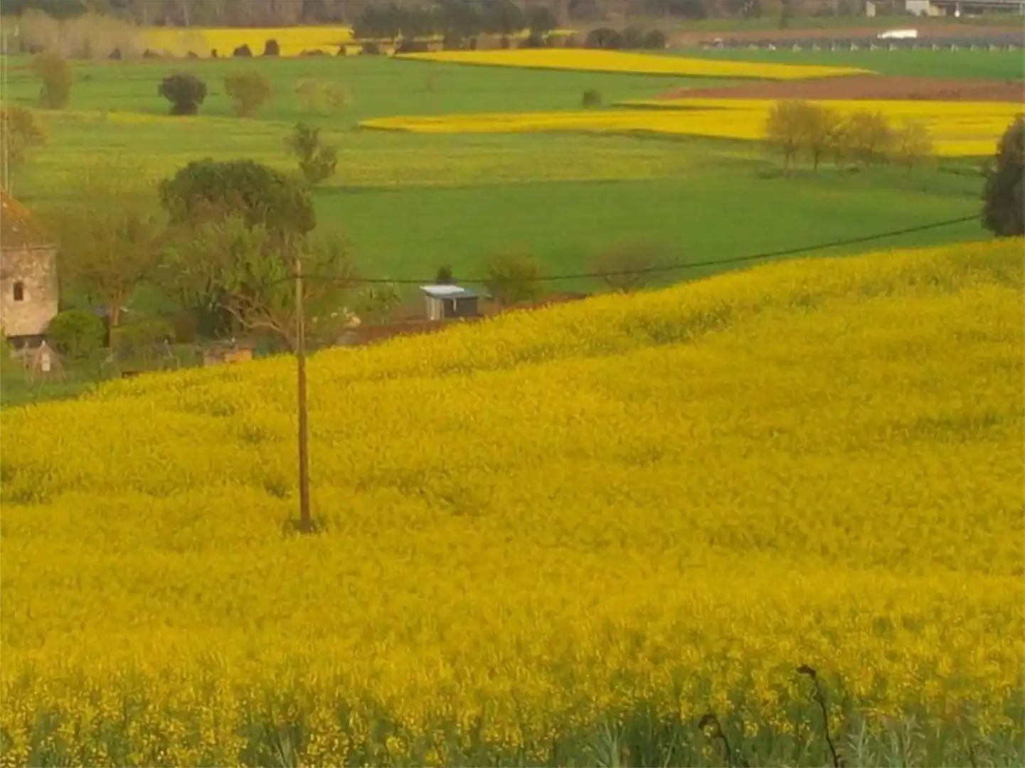 Vista exterior de Estudio de alquiler en Sant Feliu de Buixalleu con Terraza