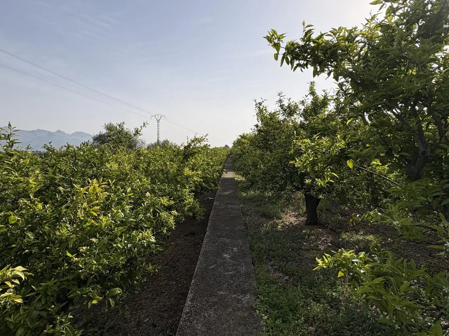 Country homes for sale in Camí dels Plans, 6, Orba Country homes for sale in Orba with Private garden, Terrace and Storage room