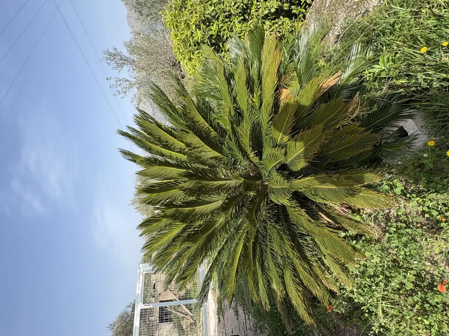 Country homes for sale in Camí dels Plans, 6, Orba Exterior view of Country homes for sale in Orba with Private garden, Terrace and Storage room