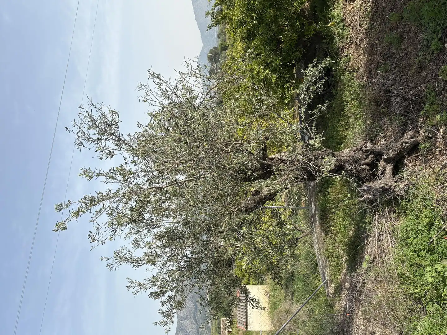 Country homes for sale in Camí dels Plans, 6, Orba Country homes for sale in Orba with Private garden, Terrace and Storage room