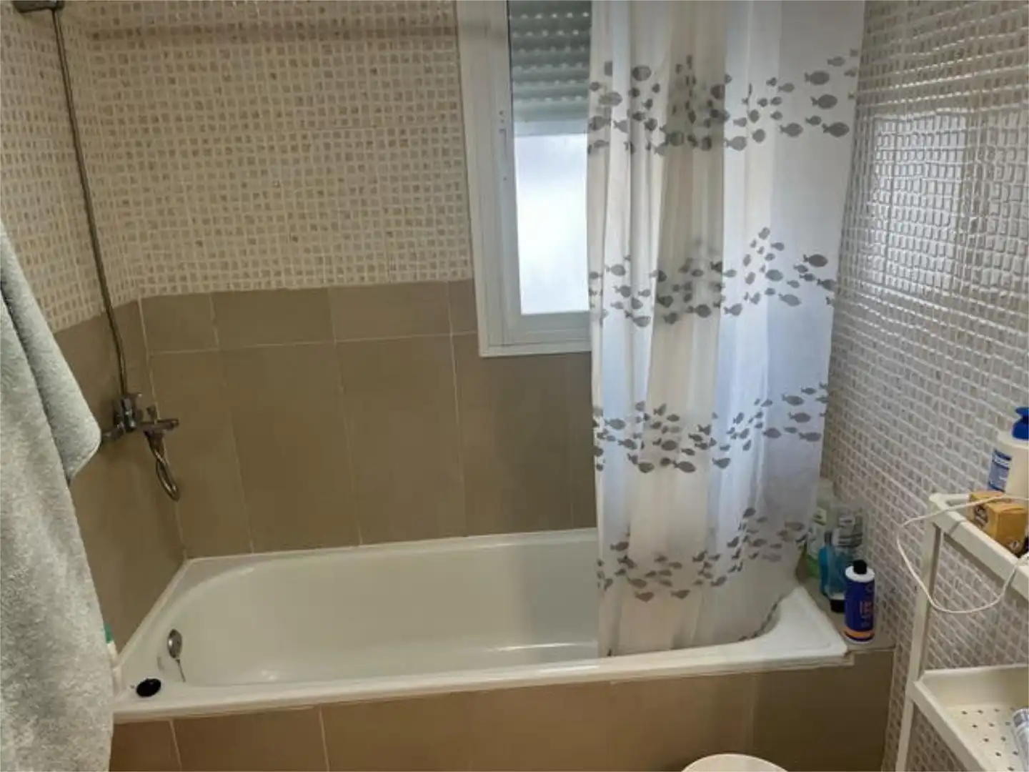 Baño de Casa o chalet en venta en Guadiana con Terraza y Amueblado
