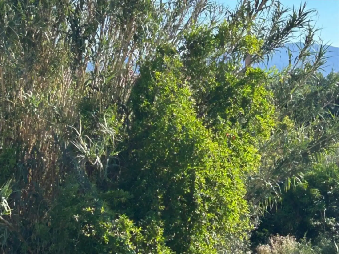 Flat for sale in Camino Molino de Funes, 80, Rincón de Seca
