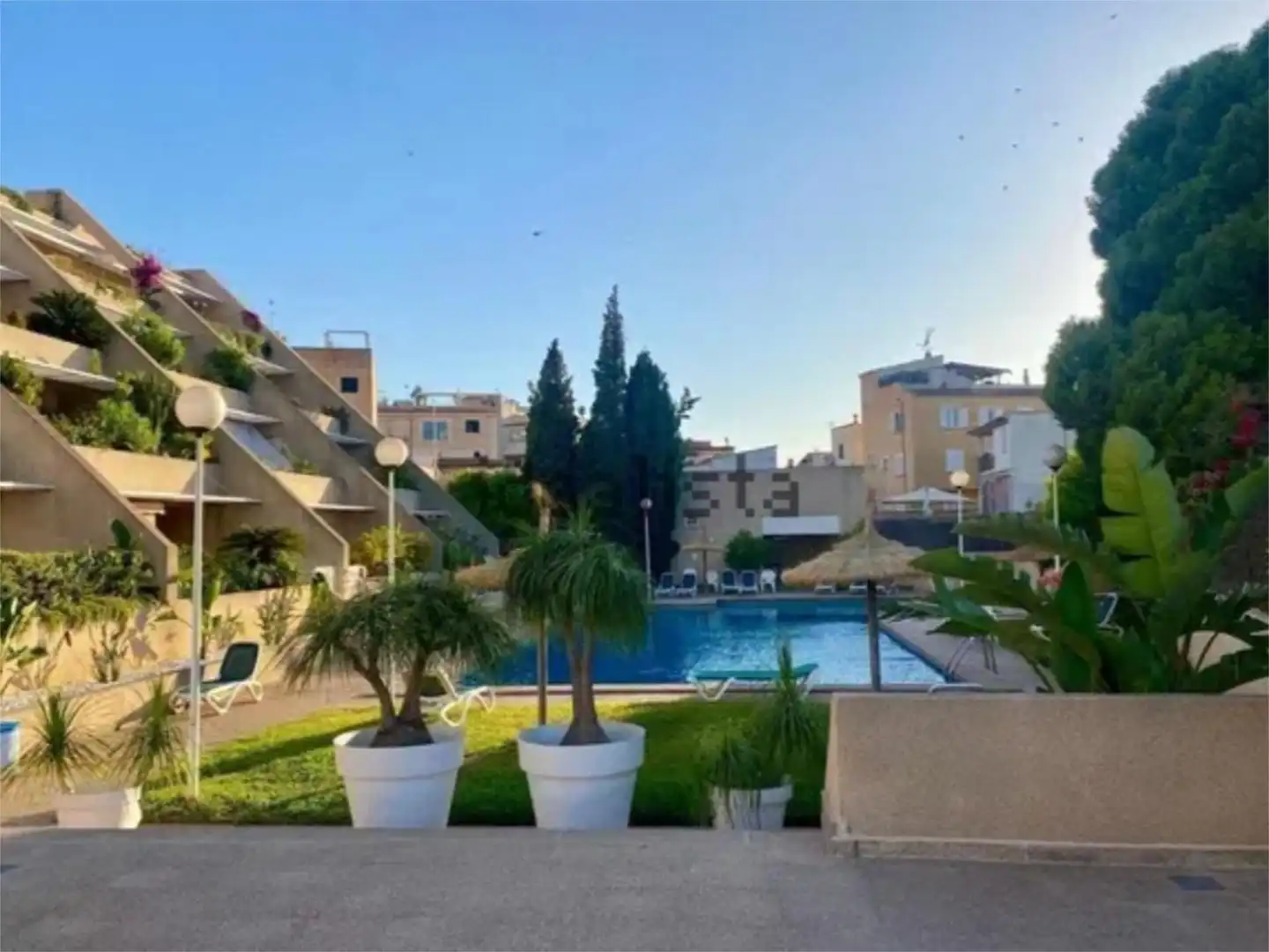 Swimming pool of Flat for rent in Andratx  with Air Conditioner, Terrace and Swimming Pool