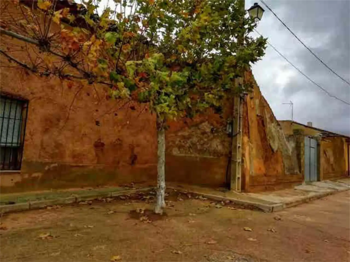 Vista exterior de Casa o chalet en venta en Villavicencio de los Caballeros con Jardín privado