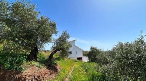 Foto 4 de Finca rústica en venta en Diseminado Diseminados, 327, Montoro, Córdoba