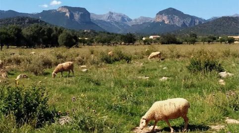 Foto 2 de Casa adosada en venta en Diseminado Poligono 1, 181, Consell, Illes Balears