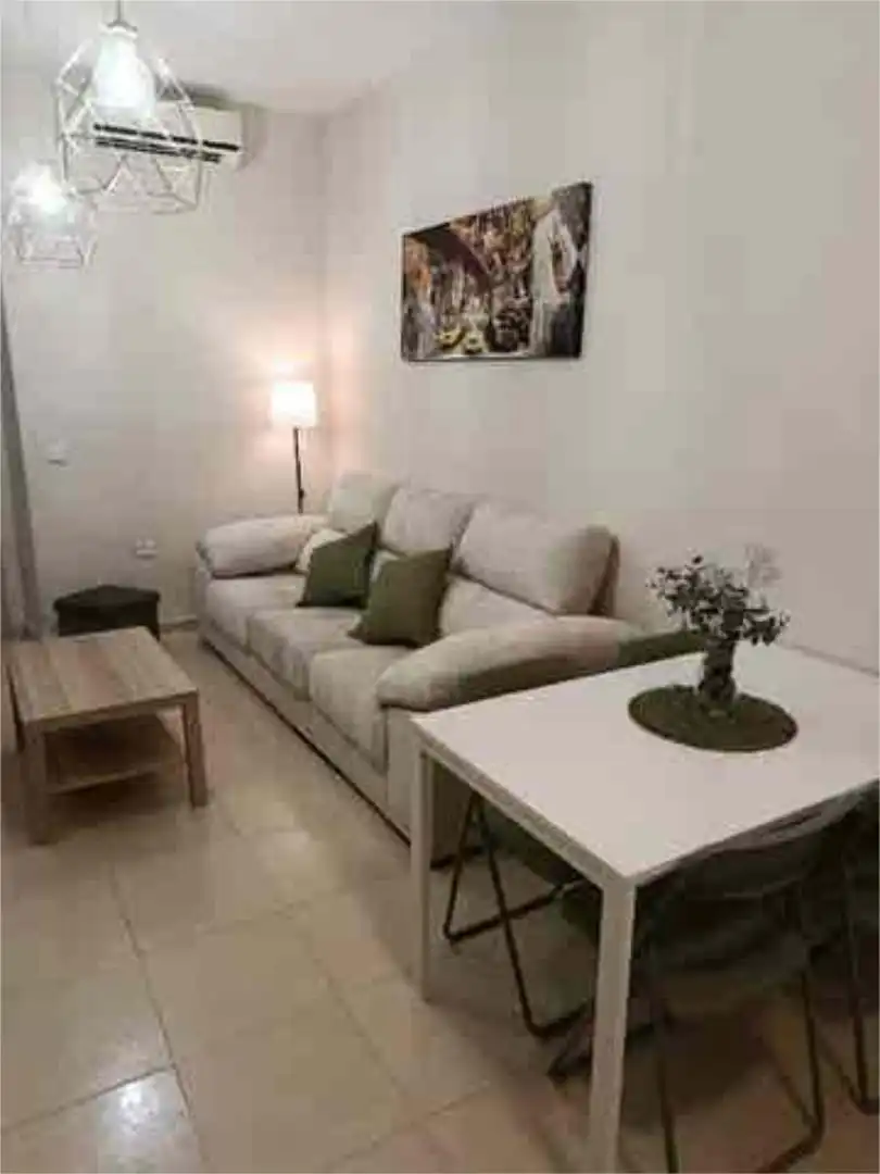 Sala de estar de Piso de alquiler en Sanlúcar de Barrameda con Amueblado