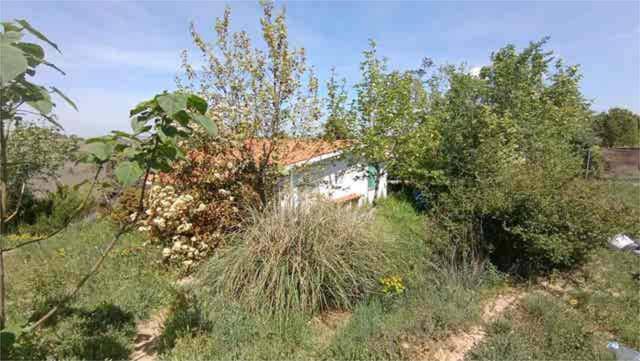 Casa-chalet en Alquiler en Perlita