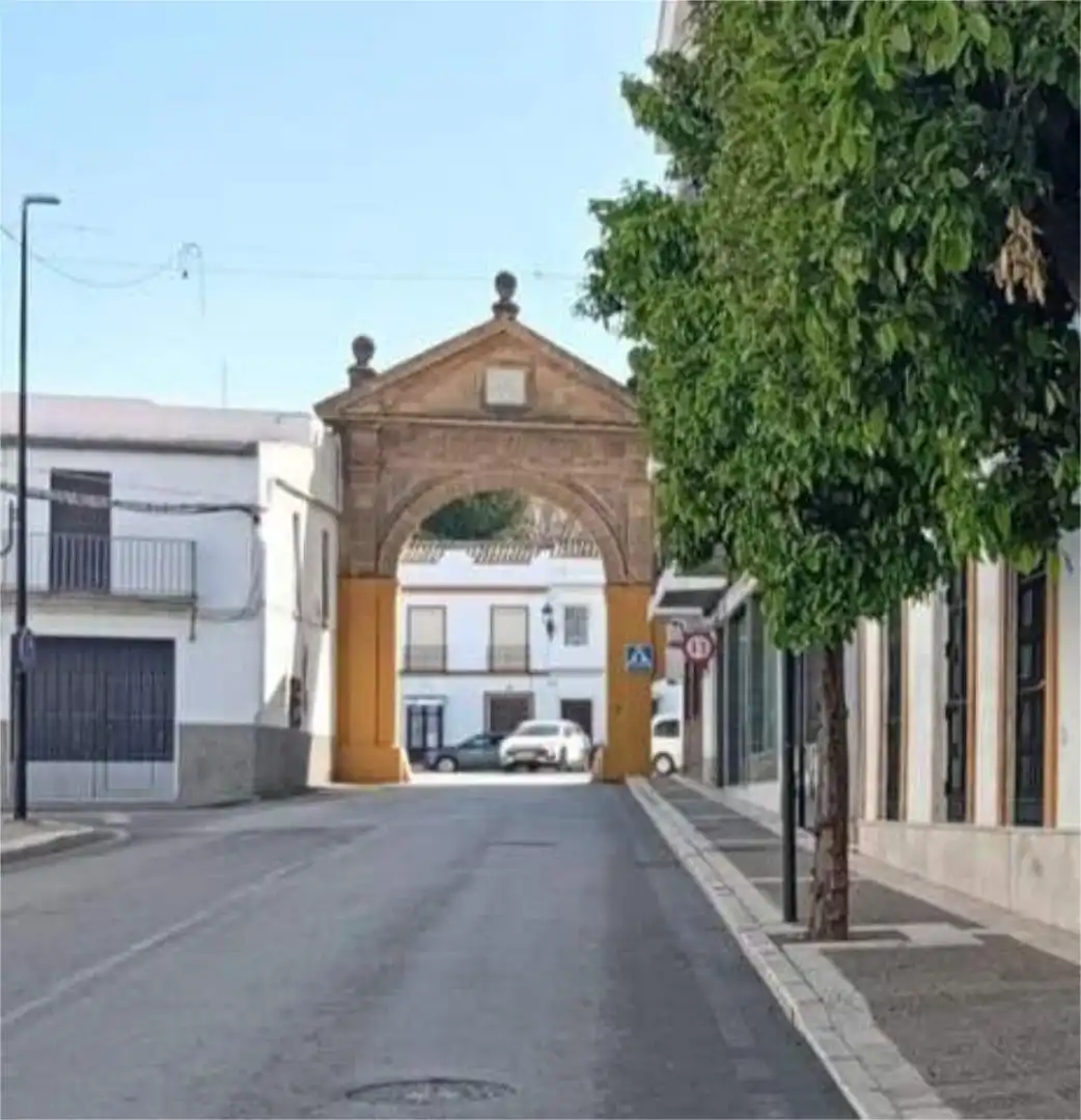 Vista exterior de Piso en venta en Osuna con Calefacción, Jardín privado y Terraza