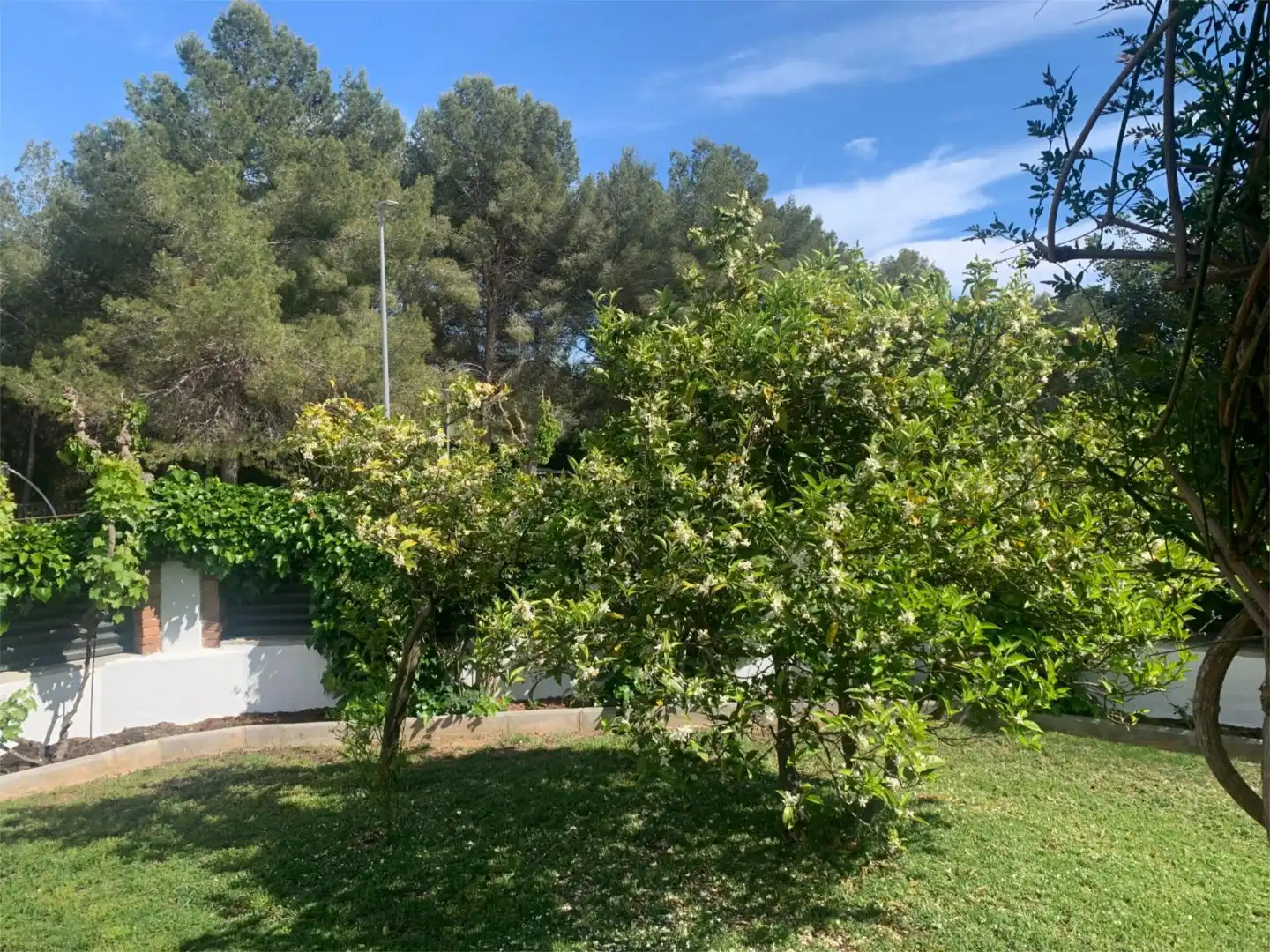 Piso en venta en Carrer d'Occitània, 19, Mas Trader - Corral d'En Tort - Corral d'En Cona Piso en venta en Cubelles con Aire acondicionado, Calefacción y Jardín privado