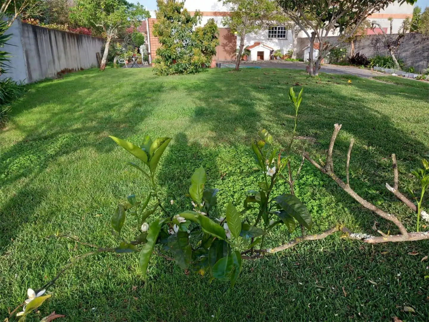 Piso en venta en Panxón Piso en venta en Nigrán con Terraza y Balcón