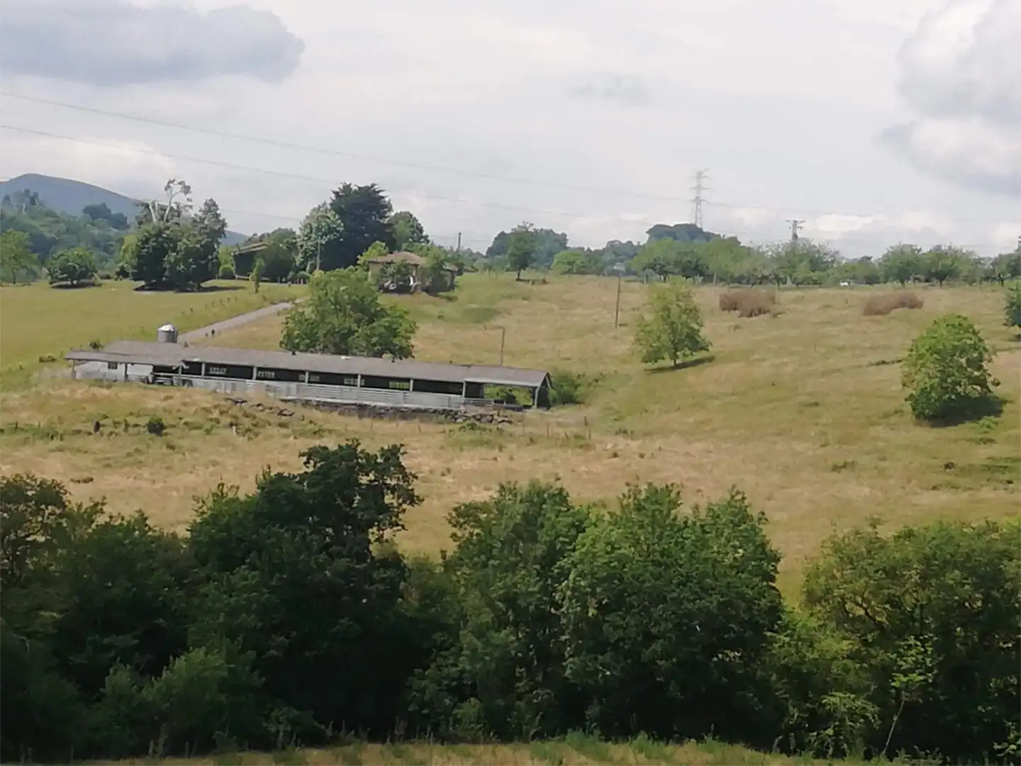 Terreno industrial en venta en Piloña