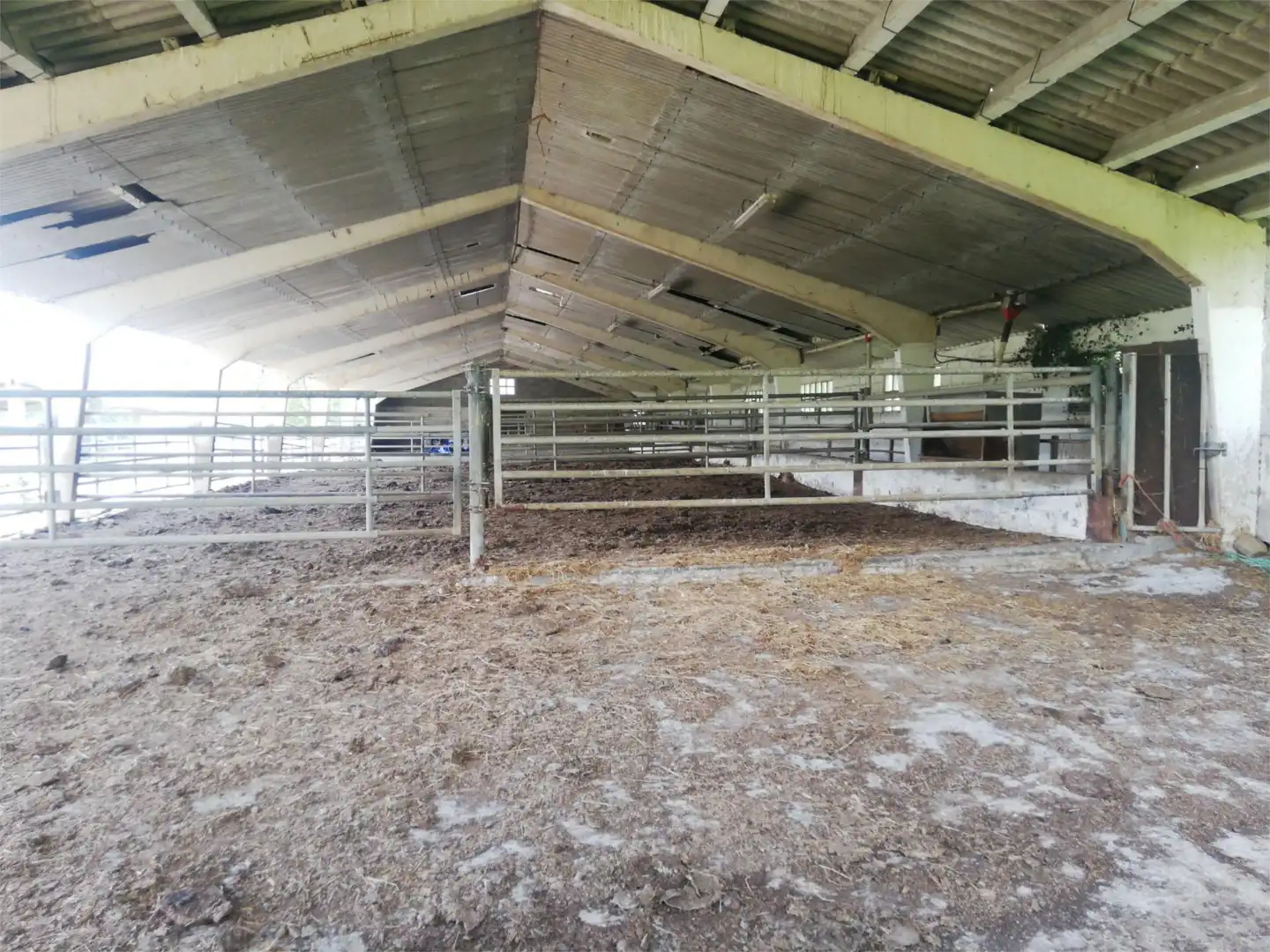 Fabrik Grundstücke zum Verkauf in Piloña