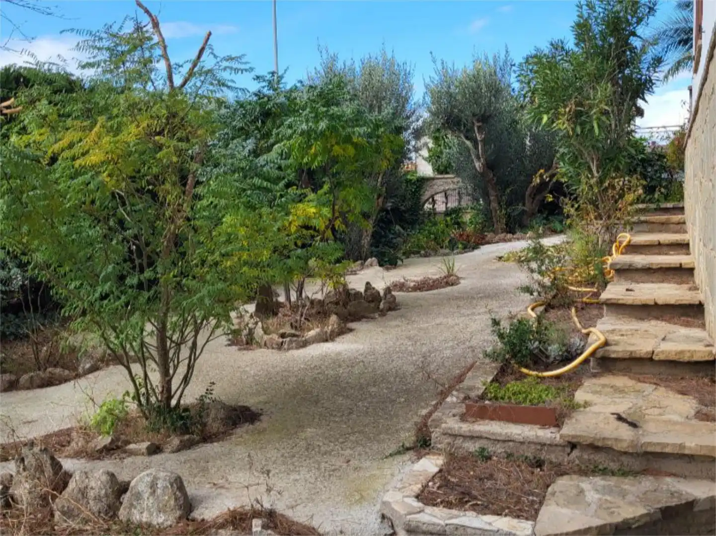 Houses for sale in Fonollosa Garden of Houses for sale in Fonollosa with Terrace and Balcony