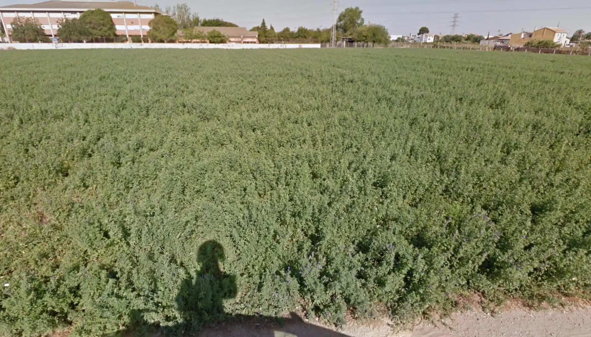 Terreno en venta en  Valencia Capital