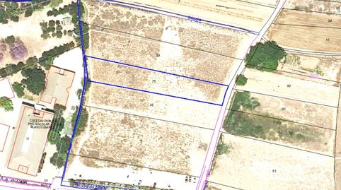 Foto 2 de Terreno en venta en Carrer del Sagrari del Salvador, 1, La Seu, Valencia Capital