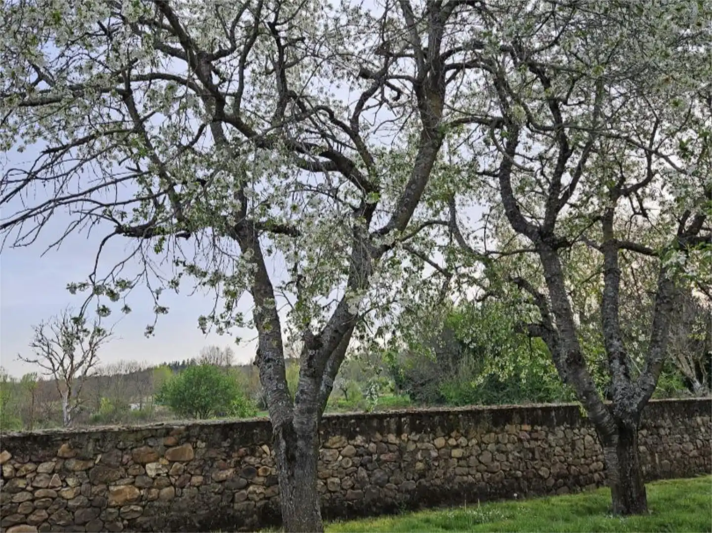 Finca rústica en venta en Calle Carretera, 7, Santa Colomba de Curueño Jardín de Finca rústica en venta en Santa Colomba de Curueño con Calefacción, Jardín privado y Amueblado