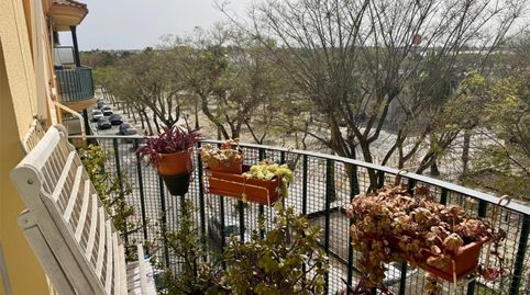 Photo 3 of Flat for sale in Paseo Jardín Botánico, 1, Las Palmeras - Dehesilla, Sanlúcar de Barrameda