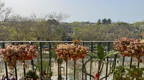 Photo 5 of Flat for sale in Paseo Jardín Botánico, 1, Las Palmeras - Dehesilla, Sanlúcar de Barrameda