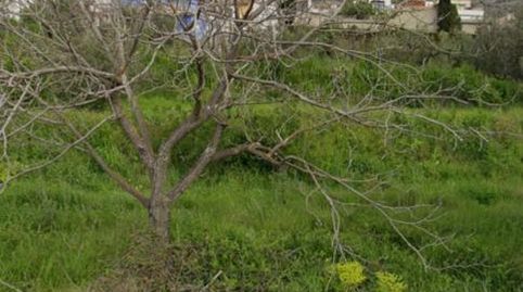 Foto 3 de Terreno en venta en Carrer Sant Jaume, 6, Gaianes, Alicante