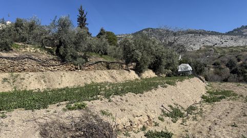 Foto 3 de Finca rústica en venta en Avenida Alemania, 6, Alfacar, Granada