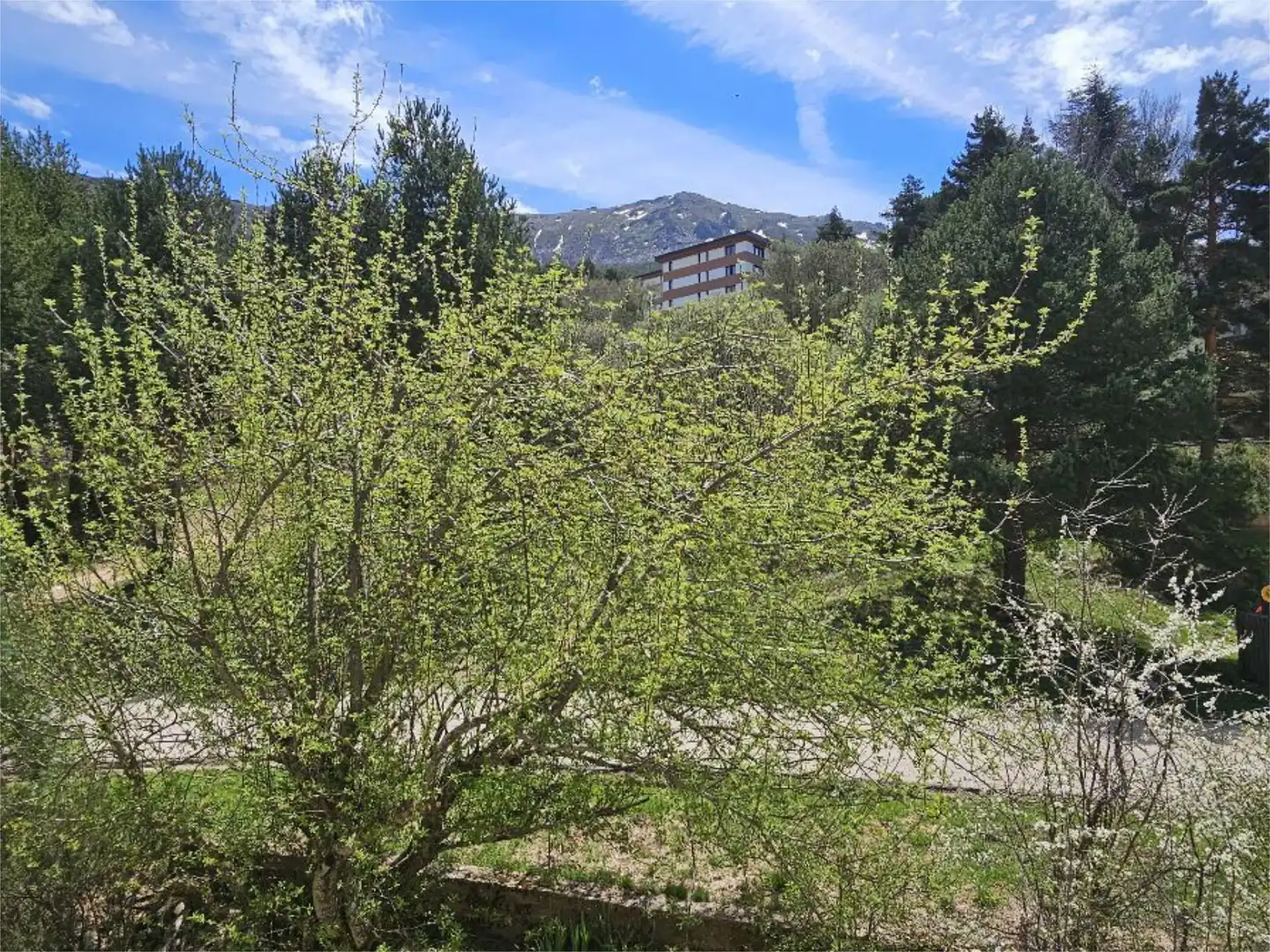 Vista exterior de Estudi en venda en Cerezo de Arriba amb Calefacció i Terrassa