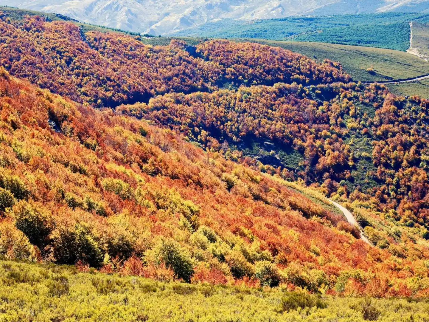 Vista exterior de Estudi en venda en Cerezo de Arriba amb Calefacció i Terrassa