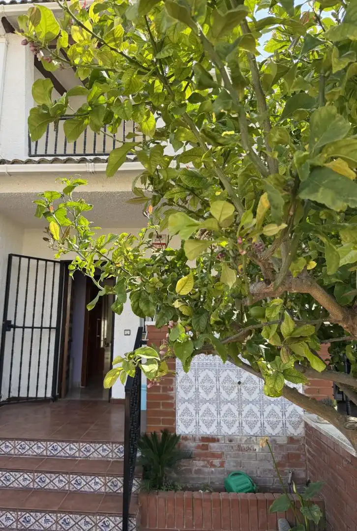Casa o xalet en venda a Carrer de Les Basses, 40, Cunit Residencial Terrassa de Casa o xalet en venda en Cunit amb Terrassa i Balcó