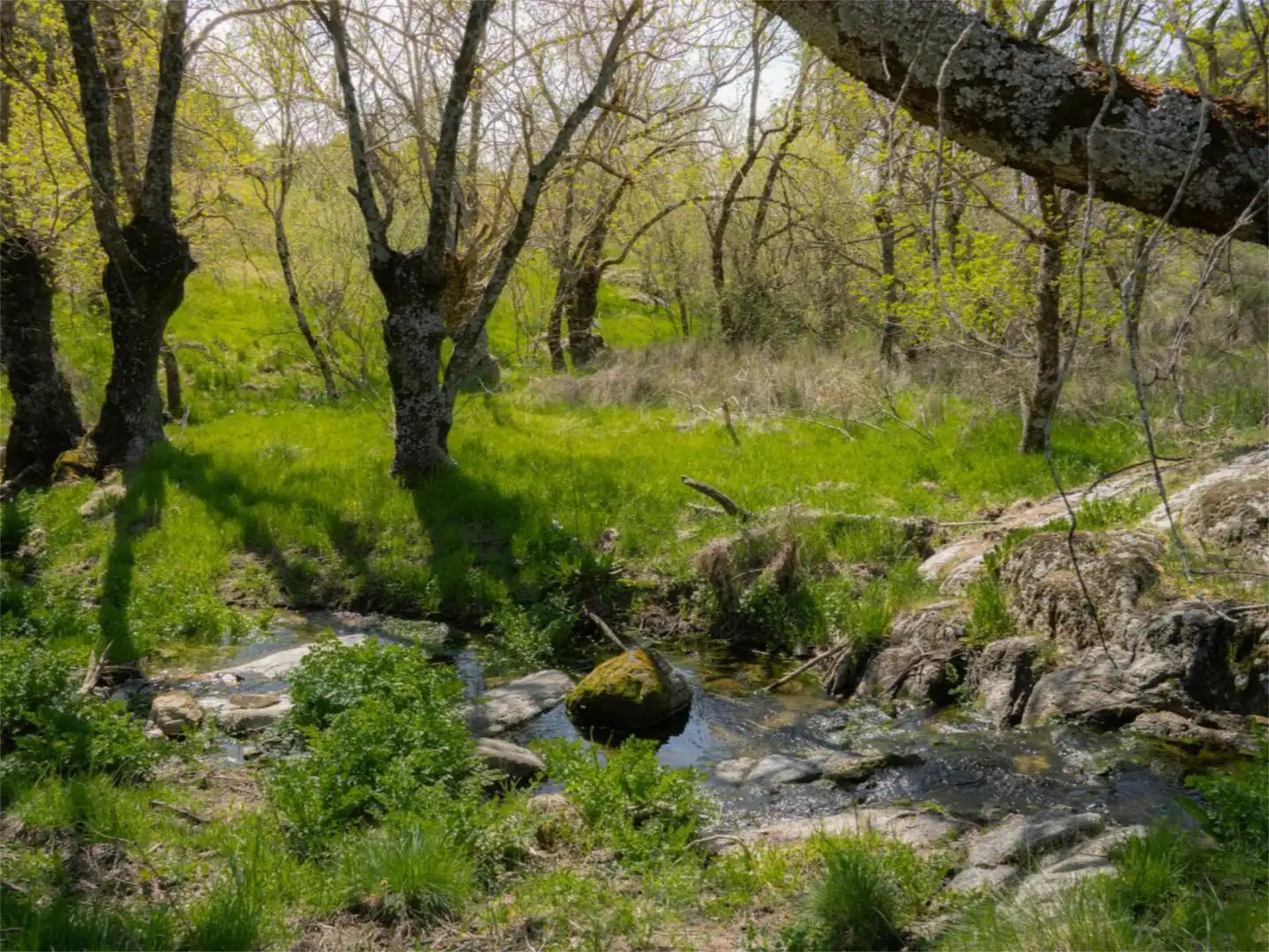 Finca rústica en venta en Mojadillas - Parque de las Infantas - El Paraiso Finca rústica en venta en Valdemorillo con Aire acondicionado, Terraza y Piscina