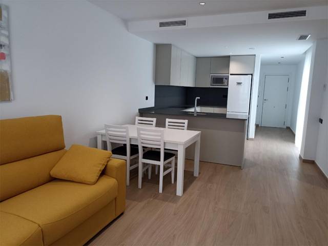 Piso en Alquiler en Avinguda de Casalduch, 11 en Parque Geólogo José Royo Gómez