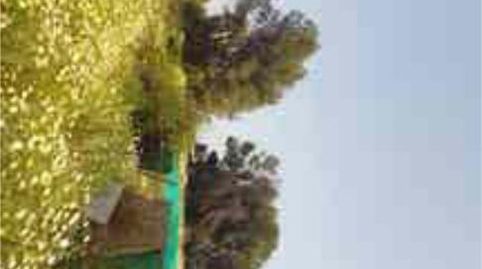 Foto 4 de Casa o chalet en venta en Centro, Alhaurín El Grande