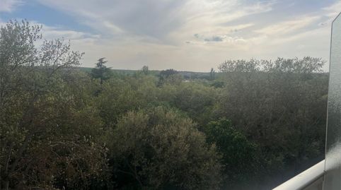 Foto 2 de Pis de lloguer a Paseo de la Isla, 11, San Pedro de la Fuente, Burgos Capital