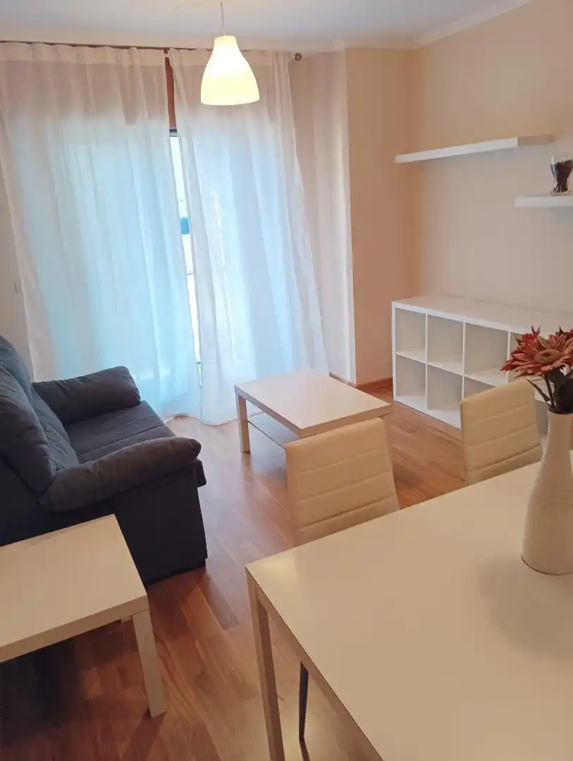 Sala d'estar de Pis de lloguer en O Porriño   amb Terrassa