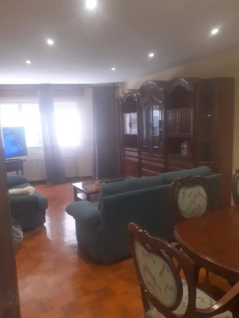 Living room of Flat for rent in Pontevedra Capital   with Heating, Parquet flooring and Furnished