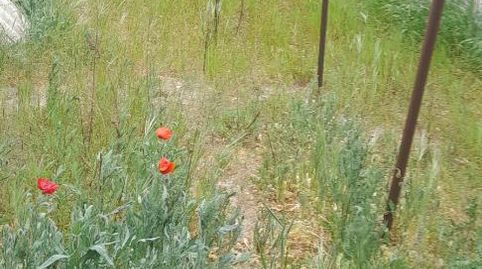 Photo 4 of Ground floor for sale in Calle Medina, 4, San Miguel del Arroyo, Valladolid