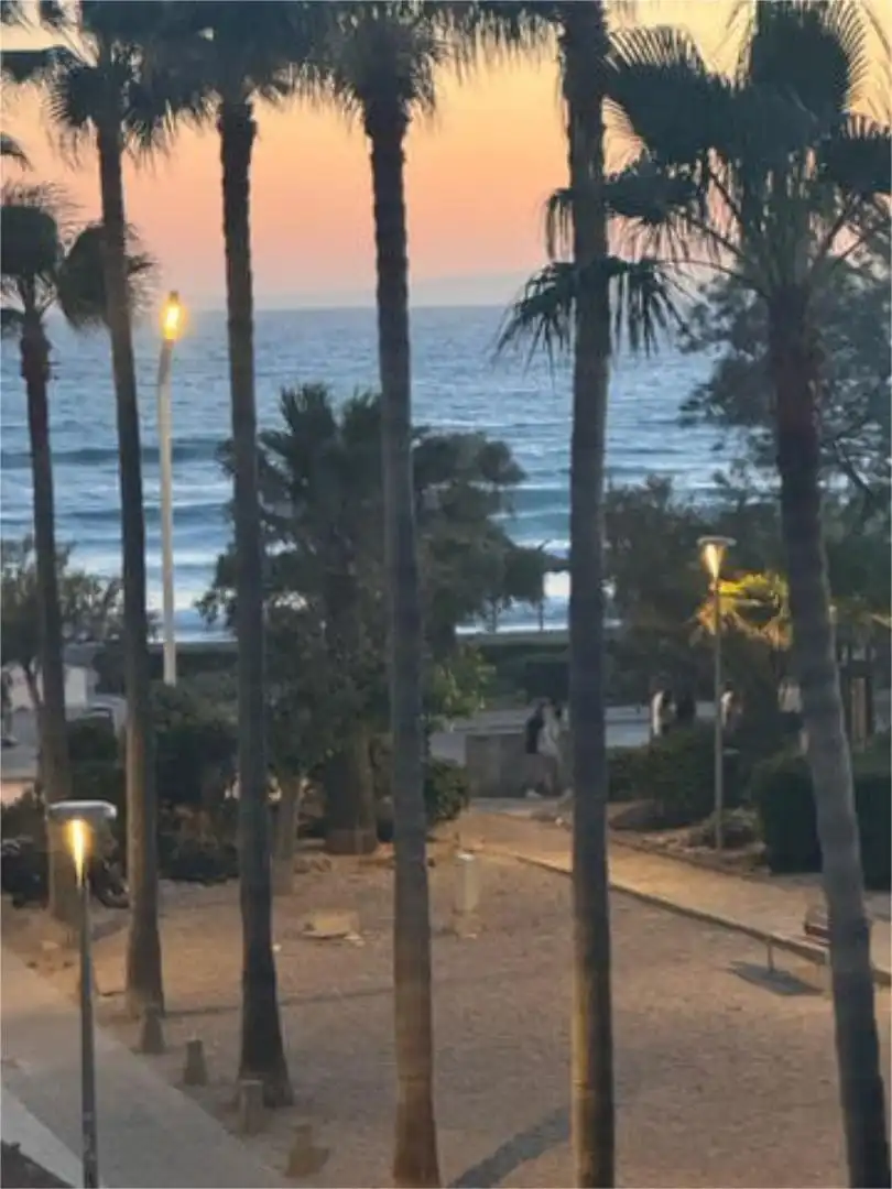 Vista exterior de Casa o xalet en venda en  Palma de Mallorca amb Terrassa
