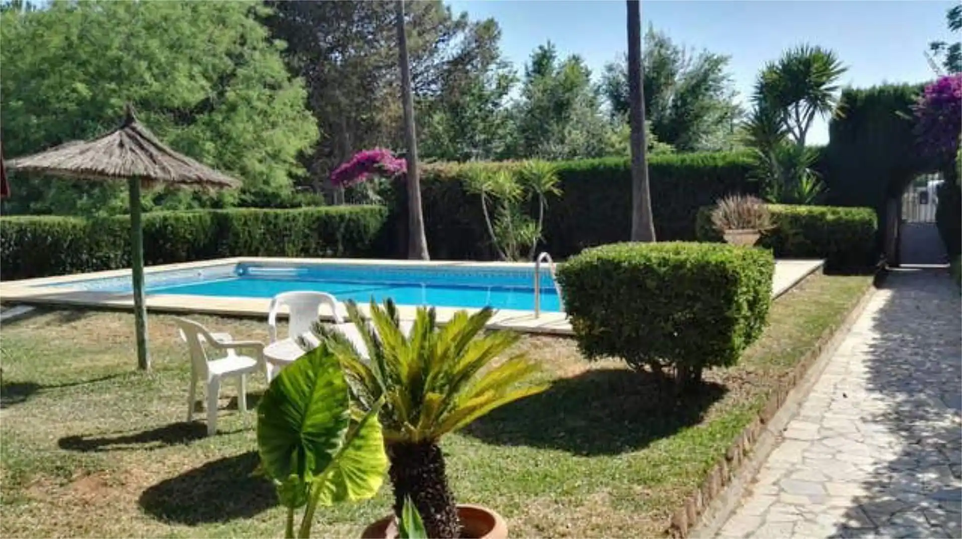 Detached homes for rent in La Paz Swimming pool of Detached homes for rent in Alcalá de Guadaira with Terrace and Swimming Pool