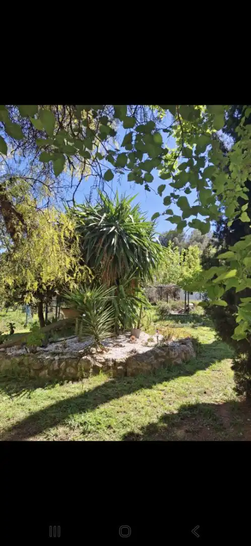 Casa o xalet en venda a Plaça Diseminados, 620, Vilamarxant Jardí de Casa o xalet en venda en Vilamarxant