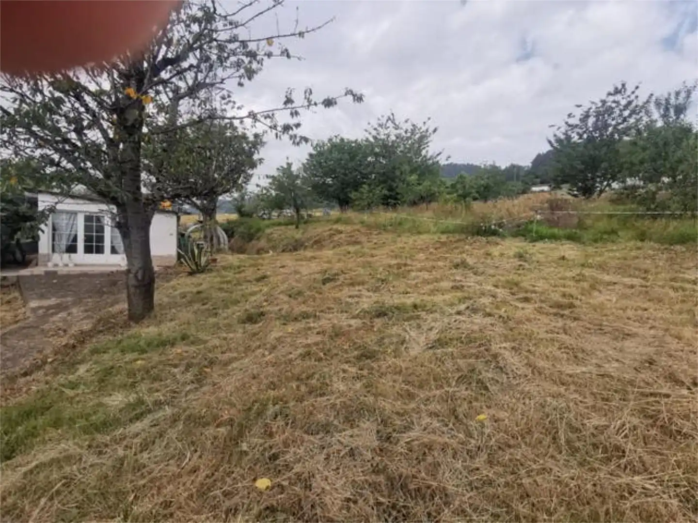 Casa o xalet en venda en Oviedo  amb Calefacció, Jardí privat i Terrassa