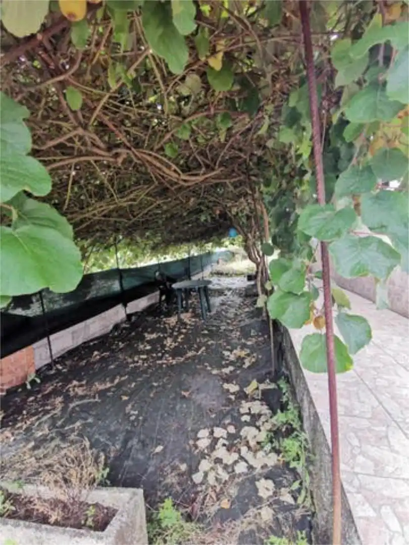 Terrassa de Casa o xalet en venda en Oviedo  amb Calefacció, Jardí privat i Terrassa
