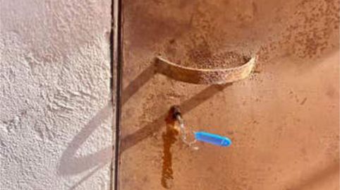 Foto 2 von Lagerraum zur Miete in Cariñena - Carinyena, Vila-real