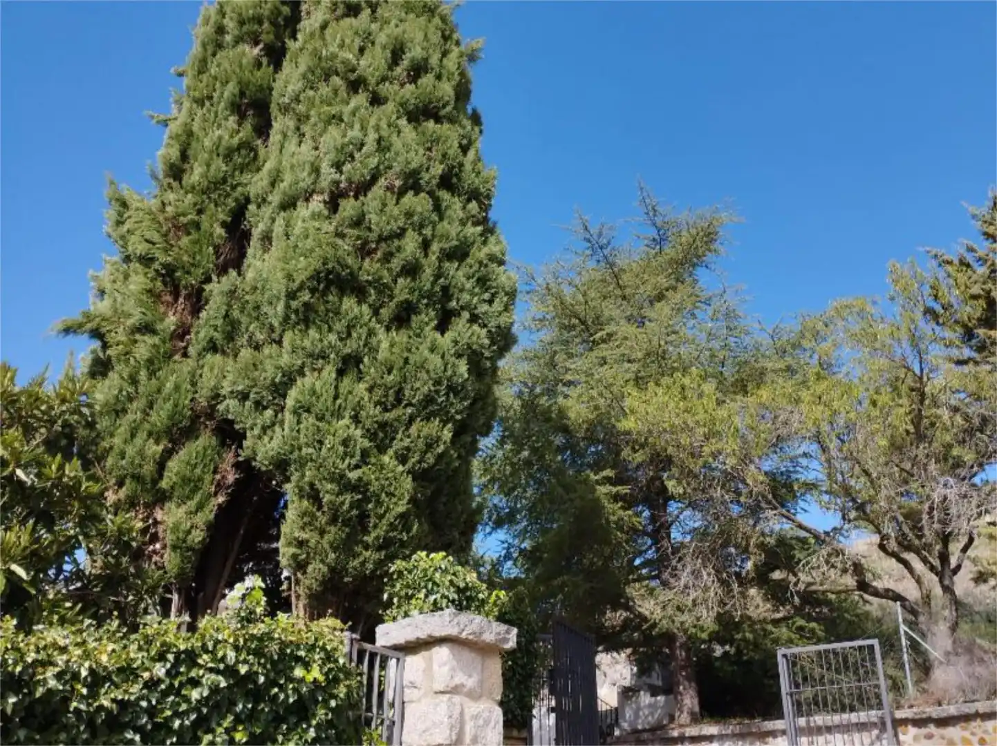 Piso en venta en SA-V-86, 19, Ciudad Rodrigo Jardín de Piso en venta en Ciudad Rodrigo con Calefacción, Jardín privado y Terraza