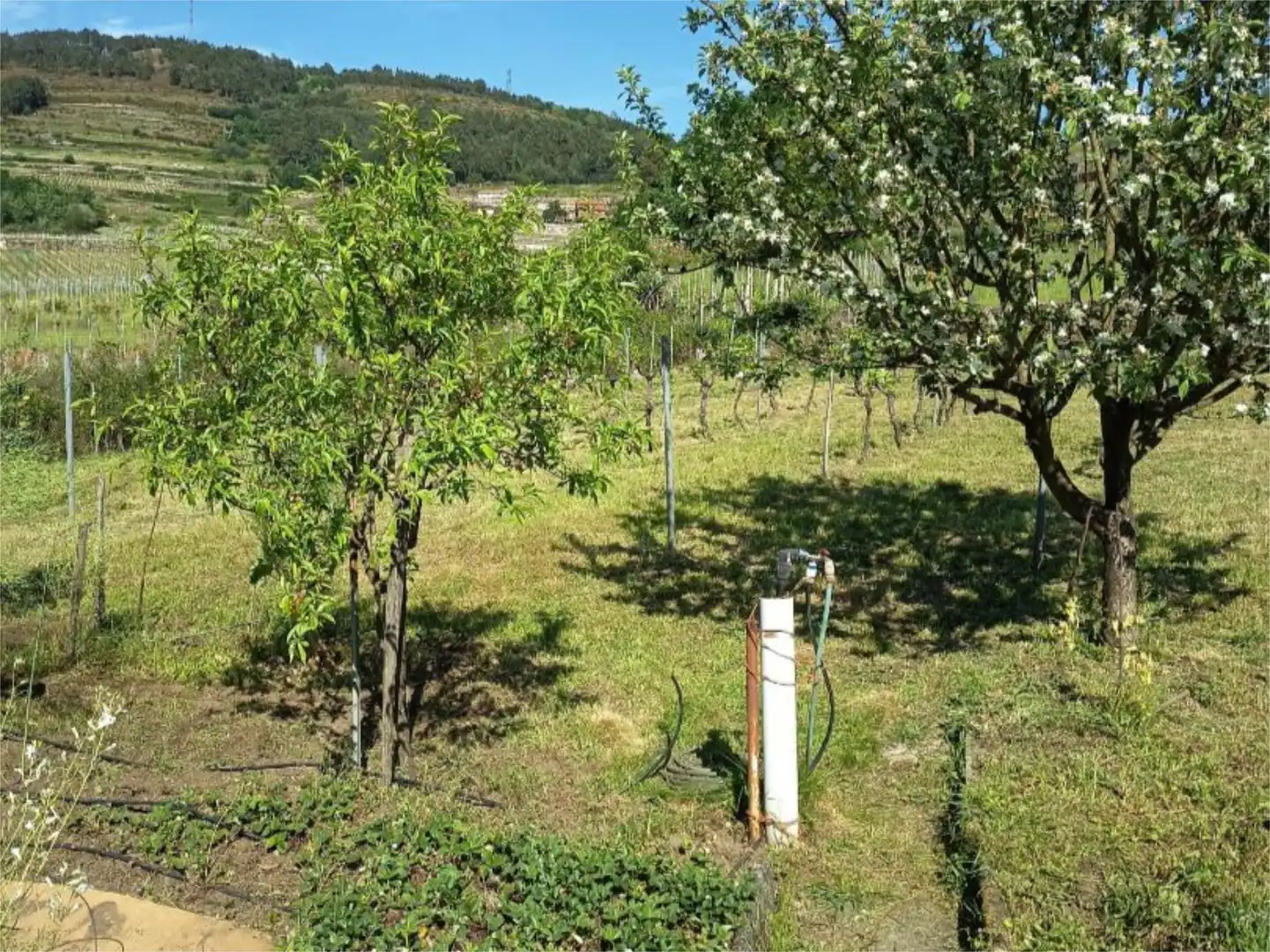 Casa adosada en venta en Lugar Cubilledo, 6, Leiro Casa adosada en venta en Leiro