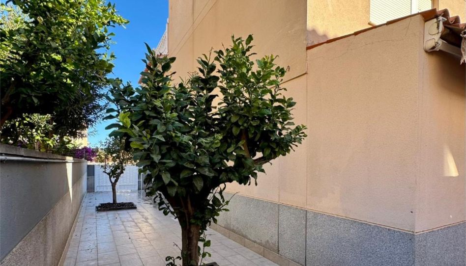 Flat for sale in Plaza de Los Pueblos, 5, Nuevo Centro, Sagunto / Sagunt - image 1 Photo 1 of Flat for sale in Plaza de Los Pueblos, 5, Nuevo Centro, Sagunto / Sagunt