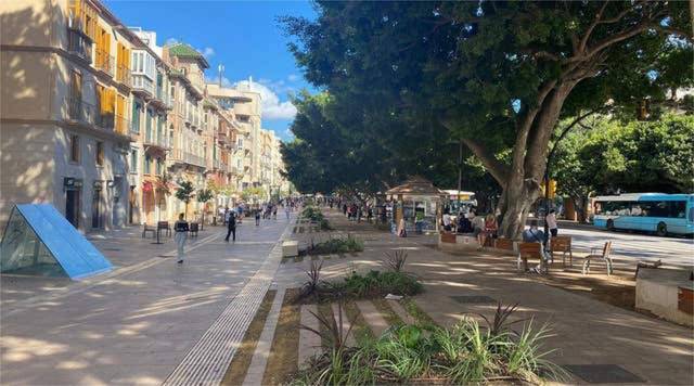 Local comercial en Alquiler en Ensanche Centro - Puerto