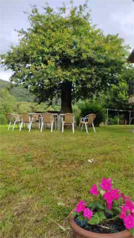 Local comercial en Alquiler en Villaescusa (Cantabria)