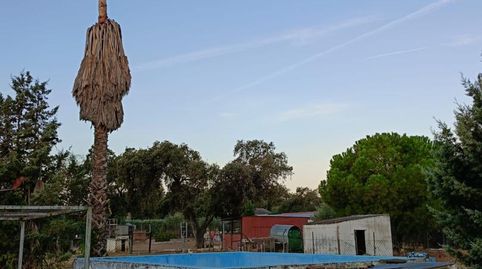Foto 4 de Finca rústica en venda a Calle Pedro de Valdivia, 1, Solana de los Barros, Badajoz
